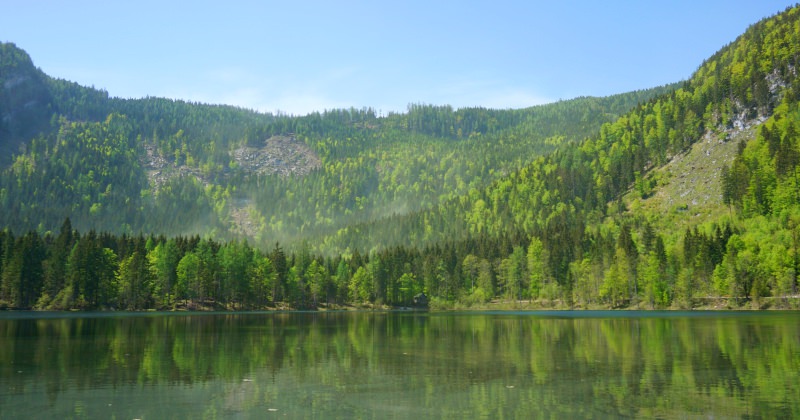 奧地利湖區Ödensee自駕自由行|在地人私藏景點，適合半日遊的綠色小湖