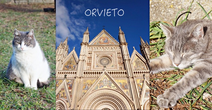 【義大利Orvieto】奧爾維耶托一日遊景點行程、交通，天空之城貓咪天堂