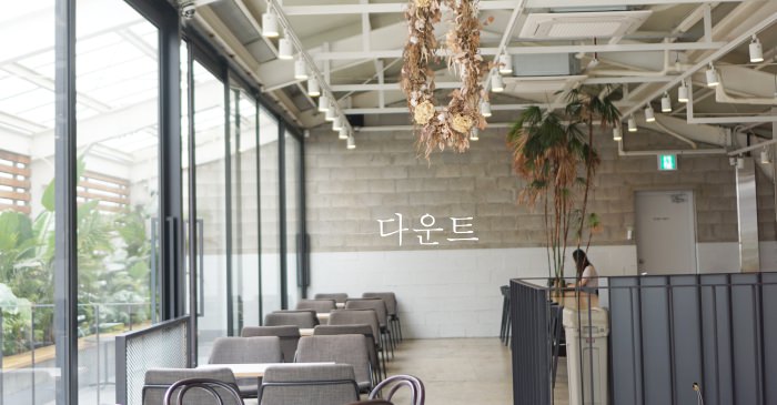 釜山西面咖啡廳|超美植栽咖啡館DAUNT，清新兩層樓空間隱身在西面咖啡街。