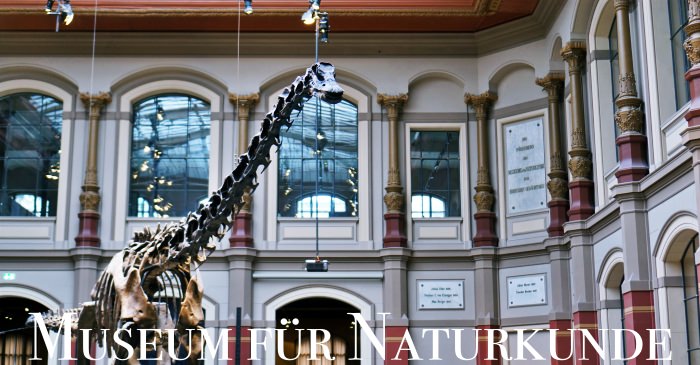 【柏林景點】自然博物館Naturkundemuseum營業時間、門票、交通