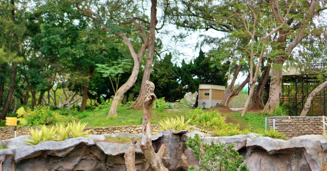 新竹市區景點|新竹公園地圖、日式庭園賞櫻半日遊，可以免費看猴子！