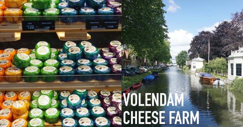 【荷蘭起司小鎮】阿姆斯特丹近郊：Edam艾登、起司農場一日遊
