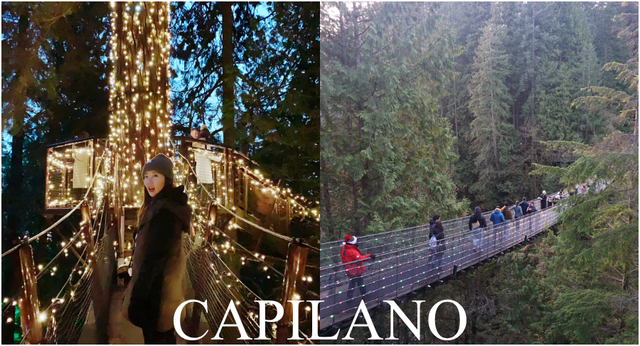 【溫哥華景點】卡皮拉諾吊橋公園Capilano門票、交通、聖誕節點燈時間