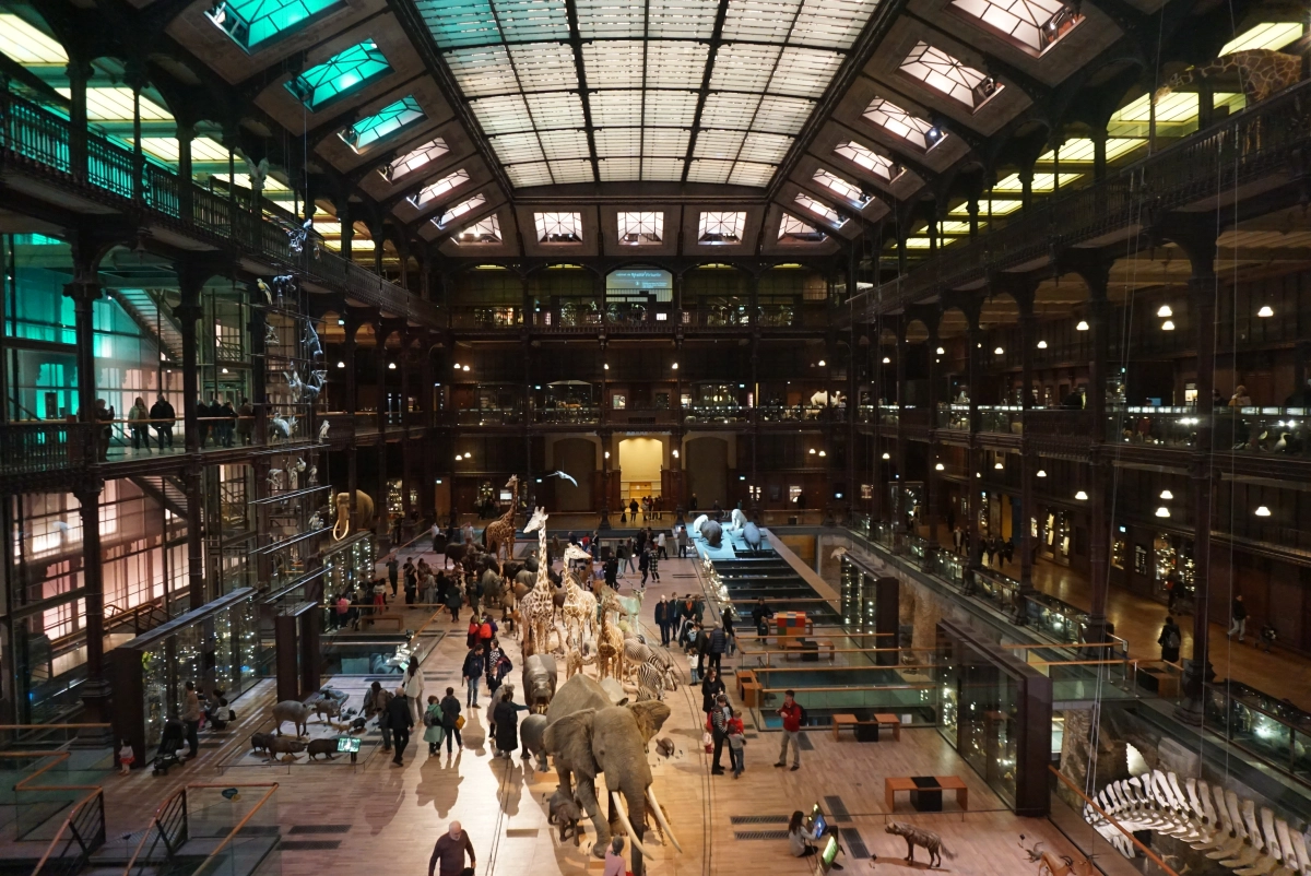 【巴黎親子景點】巴黎自然歷史博物館進化館，超酷動物大遷徙標本版