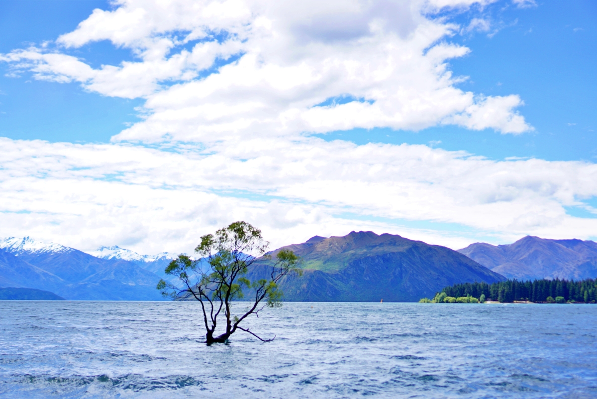 【紐西蘭瓦納卡Wanaka自由行】三天兩夜景點、住宿、登山步道推薦
