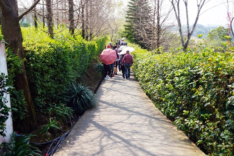 DSC00302